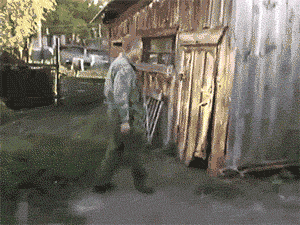 He+tries+to+let+the+dogs+out