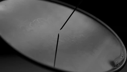 Breaking+surface+tension