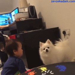 Learning+to+accept+rejection