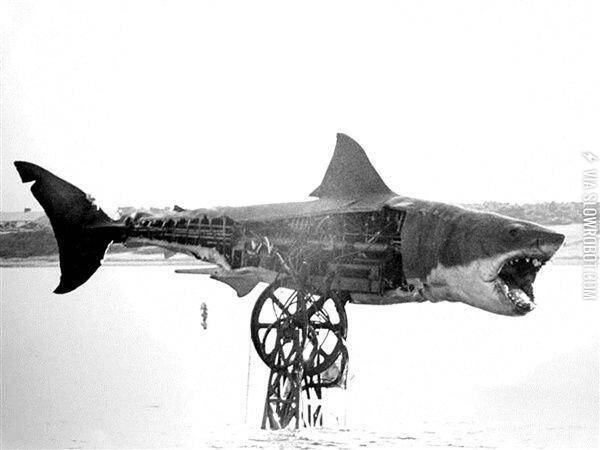 Jaws%2C+1975.