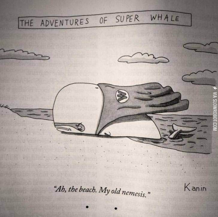 The+adventures+of+super+whale.