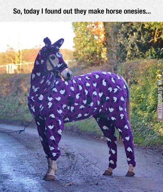 So+today+I+found+out+they+make+horse+onesies%26%238230%3B