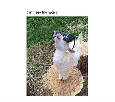 Can%26%23039%3Bt+see+the+haters