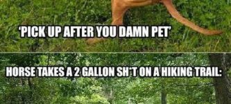 Dogs+vs.+horses