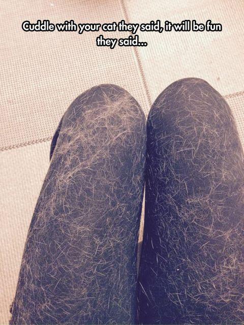 Cuddling+with+the+cat