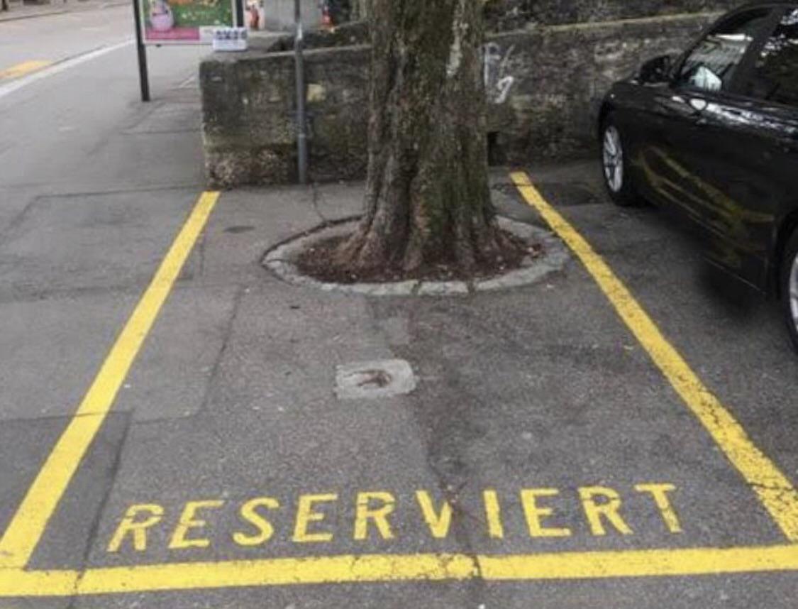 Someone+bought+this+parking+space+to+save+a+tree.+That%26%238217%3Bs+lovely.