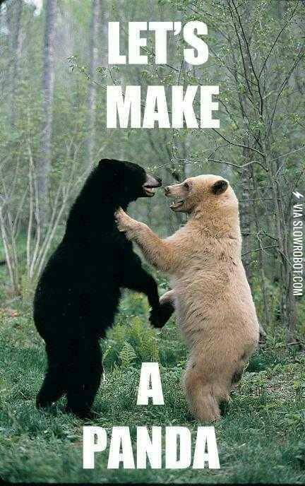 How+pandas+are+made.