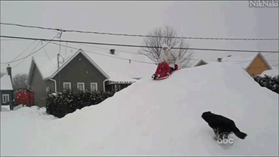 Some+dogs+are+jerks%26%238230%3B