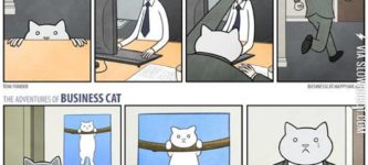 Business+cat.