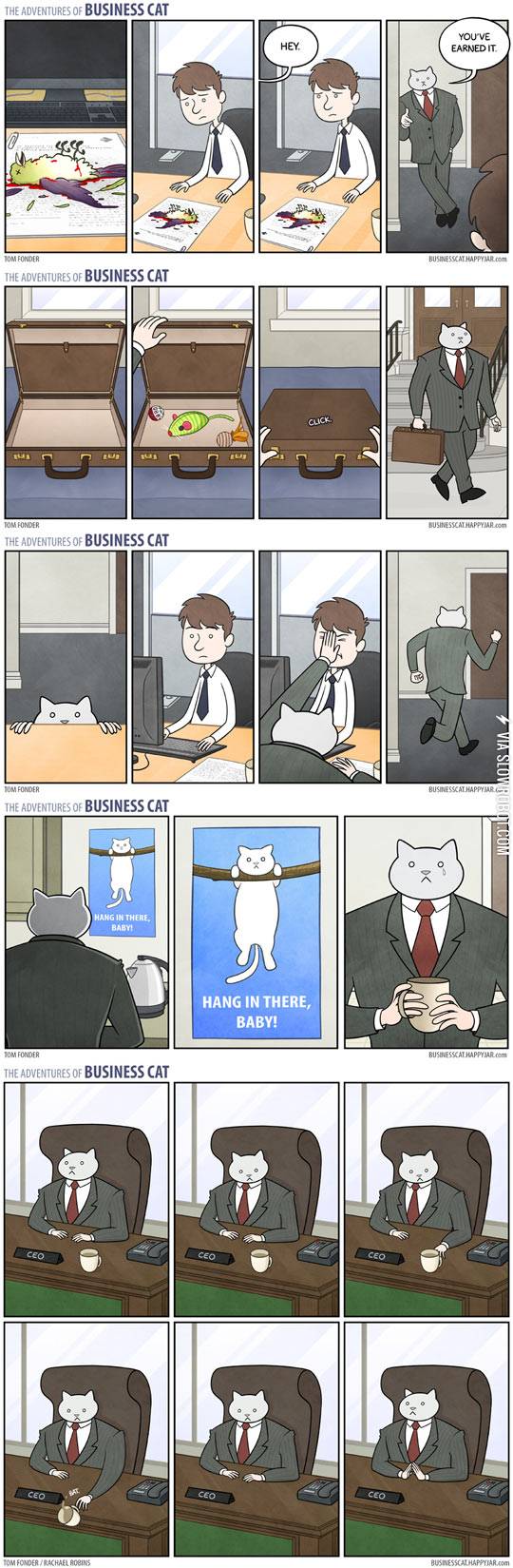 Business+cat.