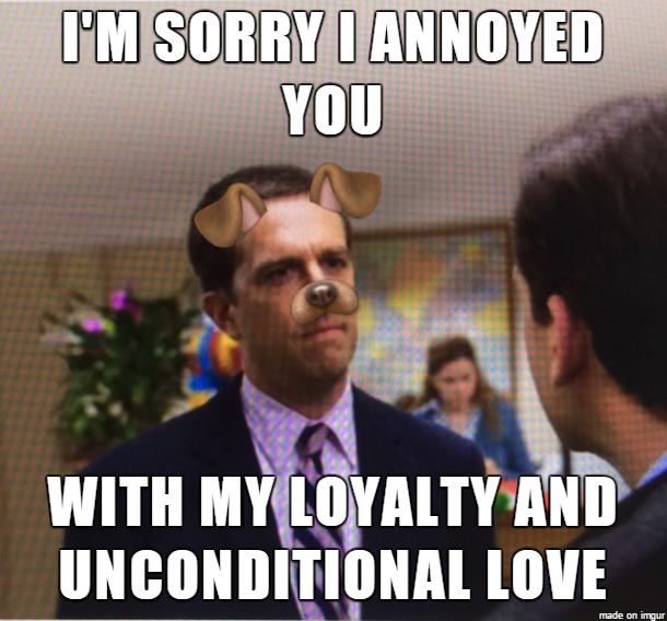 My+friend+explained+she%26%238217%3Bs+a+cat+person+because+she+doesn%26%238217%3Bt+like+how+clingy+dogs+are