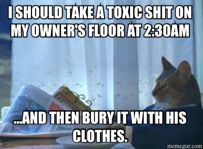 My+asshole+cat%2C+ladies+and+gentlemen%26%238230%3B