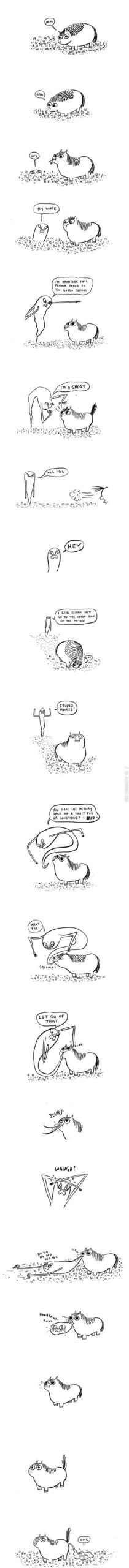 Hey+Horse%26%238230%3B