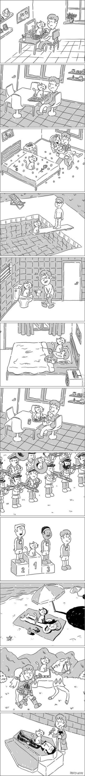 What+it%26%238217%3Bs+like+to+own+a+cat.