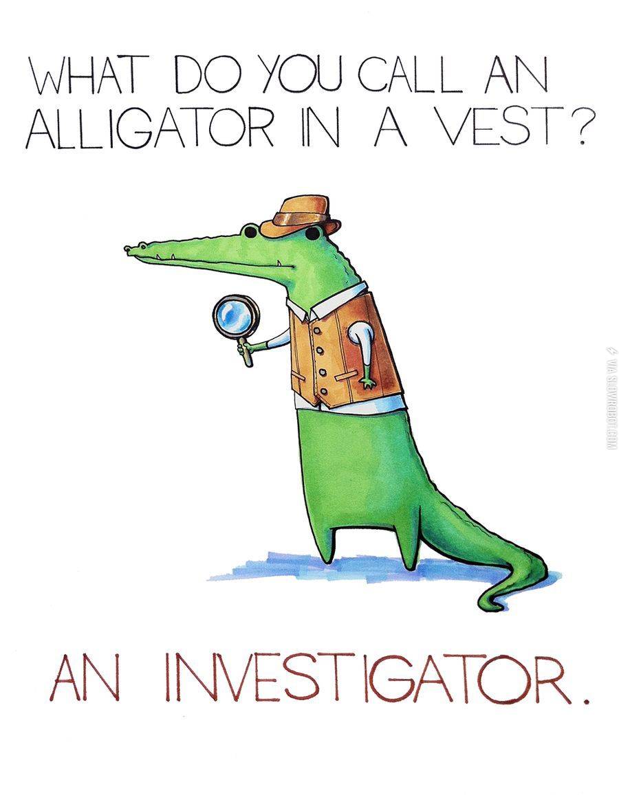 An+investigator