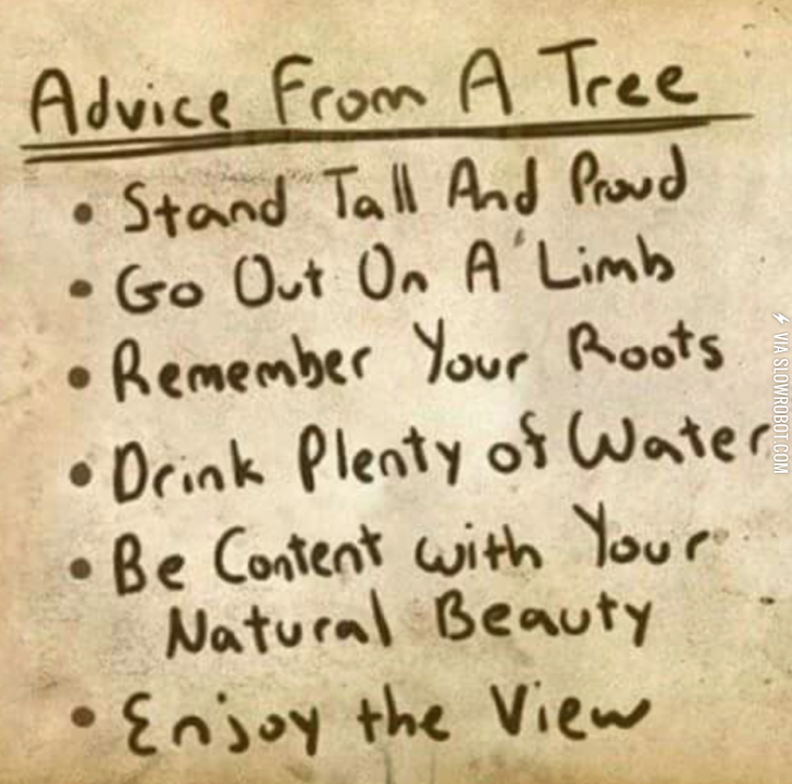 Advice+from+a+tree.