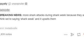 Shark+weak
