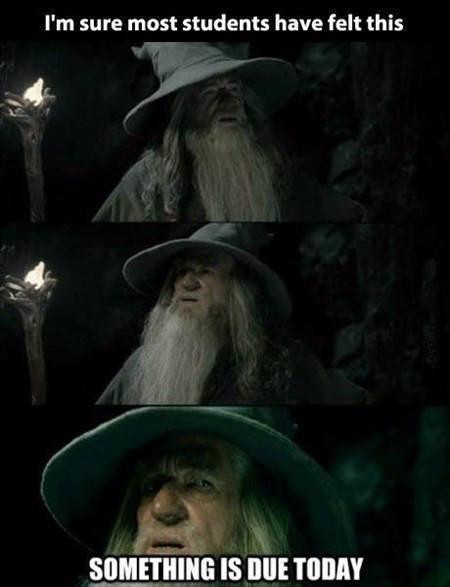 I%26%238217%3Bm+Sure+Most+Students+Have+Felt+This