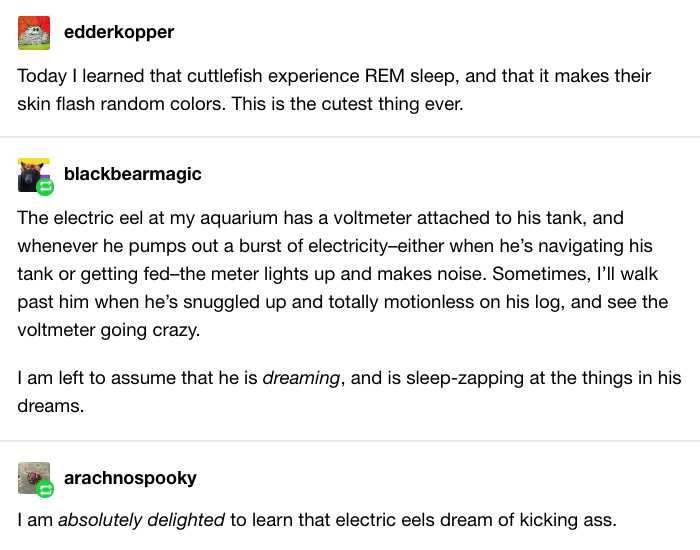 Sounds+a+little+fishy%26%238230%3B