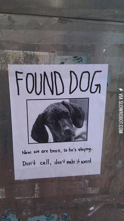 Found+Dog