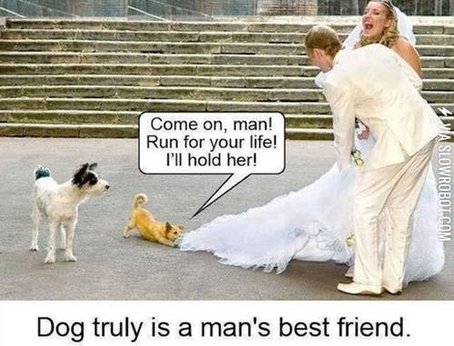 Man%26%238217%3Bs+best+friend.