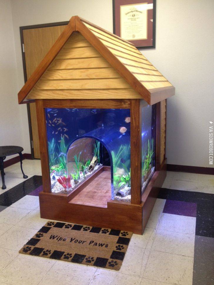 Fish+tank%2Fdog+house.