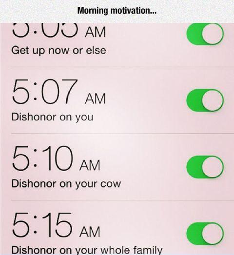 Alarm+motivation
