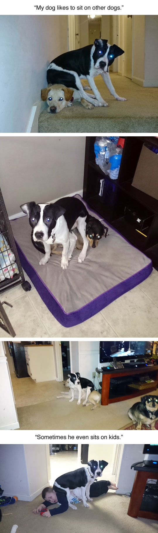 He+Just+Wants+To+Be+Comfortable