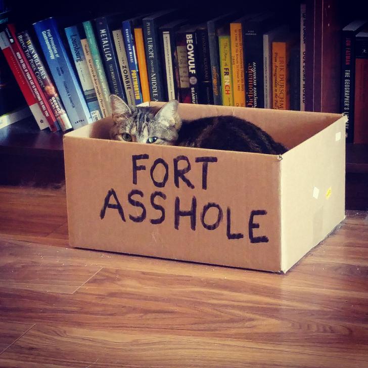 If+I+fits%2C+I+sits.
