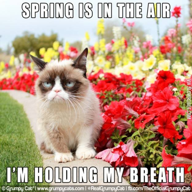 Spring+is+in+the+air%26%238230%3B