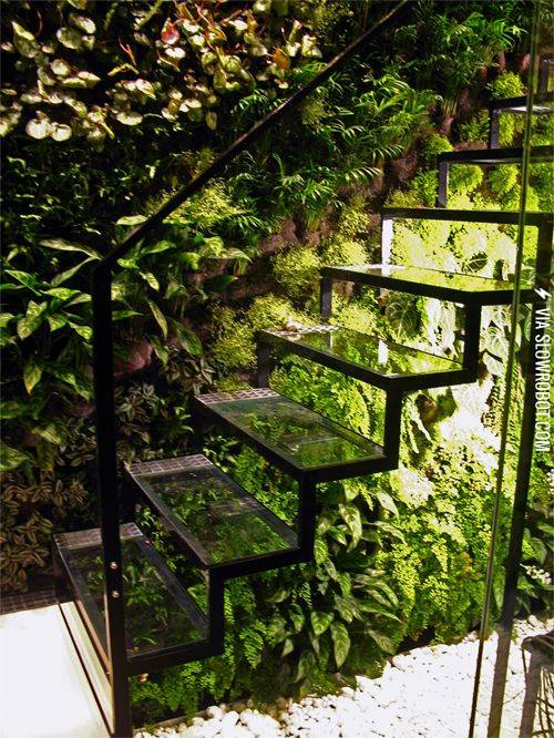 Greenhouse+staircase