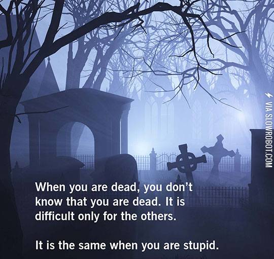 Dead+vs.+stupid
