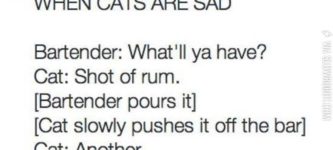 When+cats+are+sad