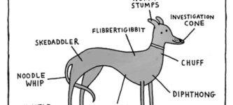 Anatomy+of+a+Greyhound