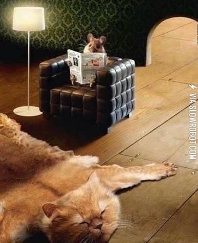 In+an+alternate+universe.