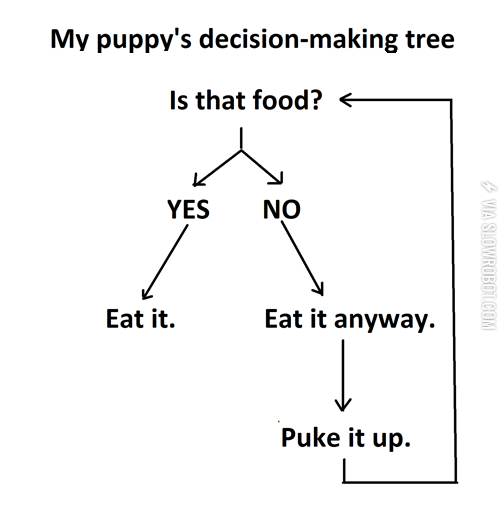 My+puppy%26%238217%3Bs+decision-making+tree.