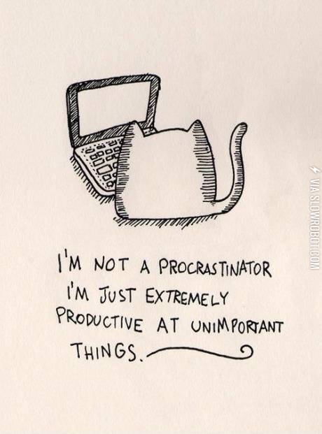 Extremely+productive+at+unimportant+things