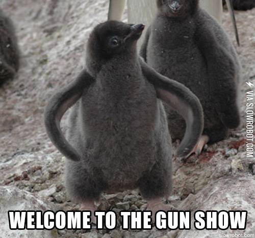 Welcome+to+the+gun+show%21