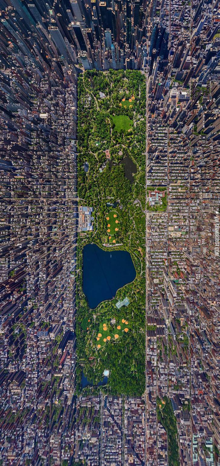 Central+Park%2C+New+York.