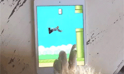 In+a+parallel+universe%3A+flappy+man