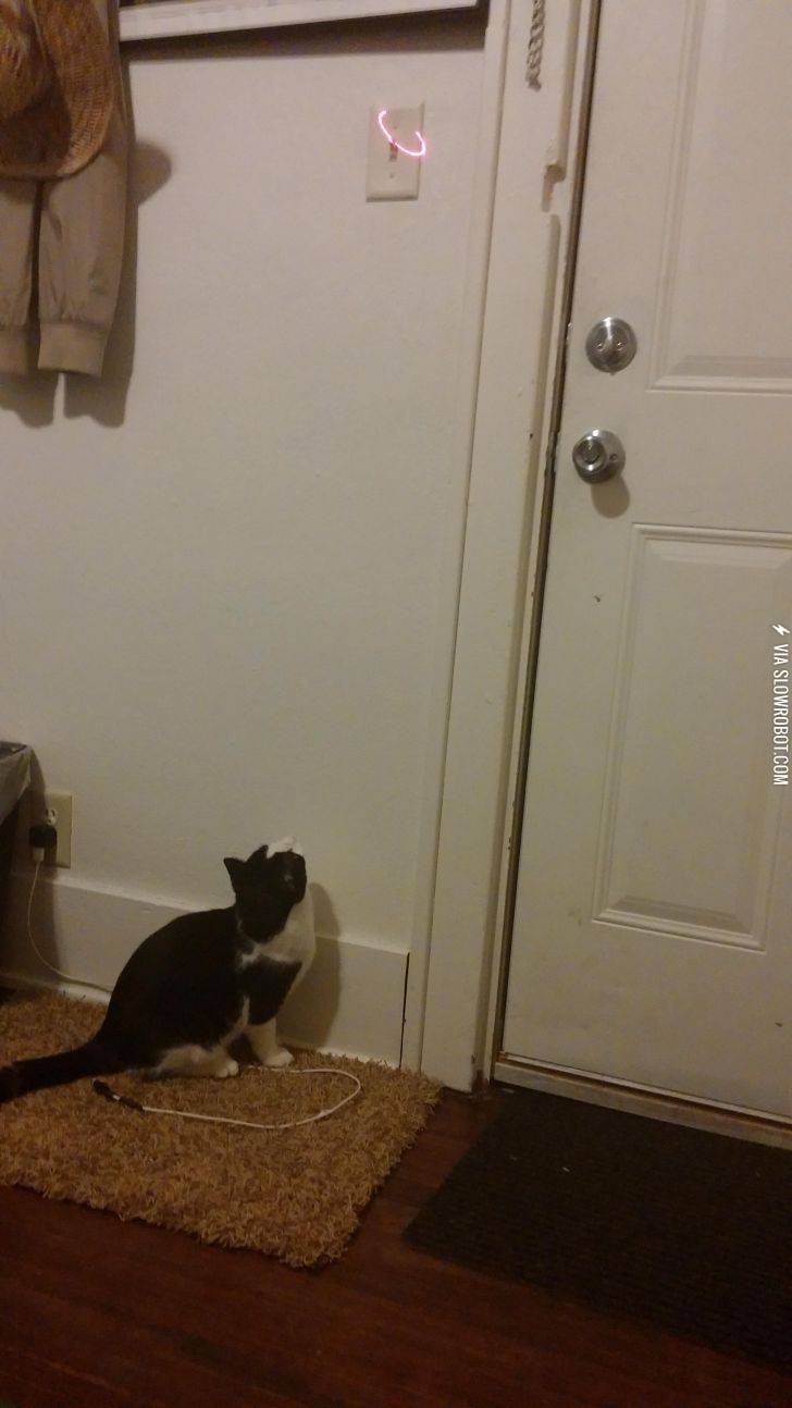 How+I+shut+the+light+off+when+I%26%238217%3Bm+feeling+lazy.