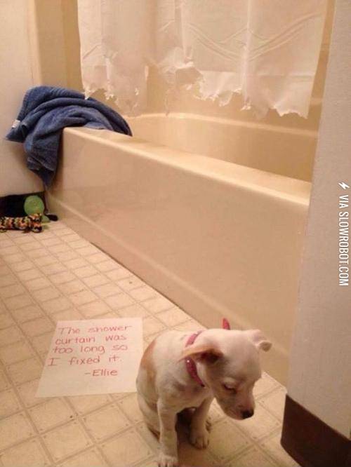 The+shower+curtain+was+too+long.