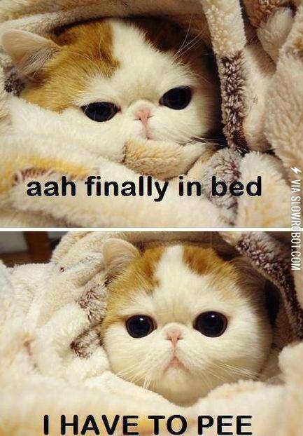 This+is+me+every+single+night.