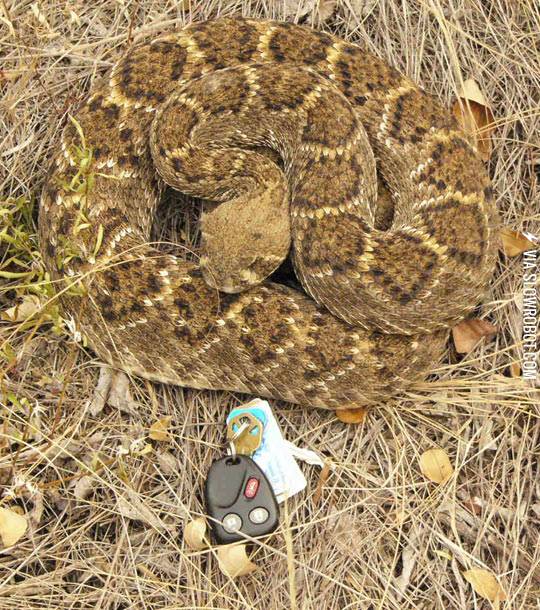 I+didn%26%238217%3Bt+need+them+anyway%26%238230%3B