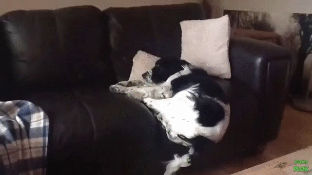 You+win+this+time+gravity