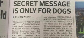 Secret+Message+Is+Only+For+Dogs