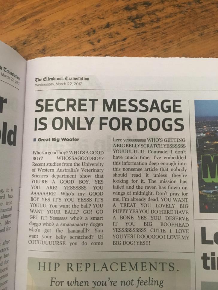 Secret+Message+Is+Only+For+Dogs