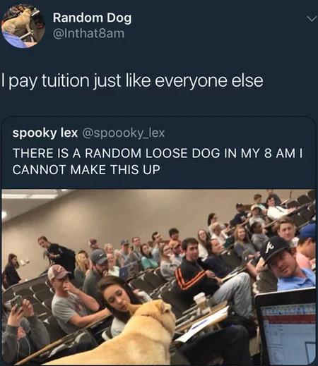 I+Pay+Tuition+Just+Like+Everyone+Else%26%238230%3B