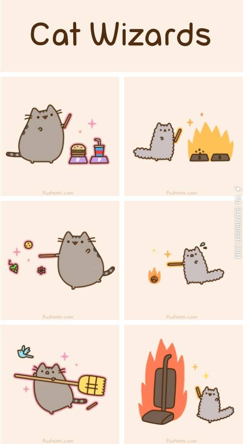Cat+wizards.