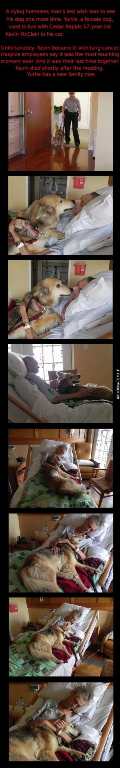 A+dying+mans+last+wish.